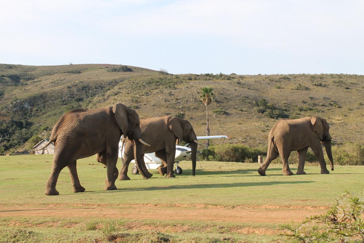 Addo Elephant Lodge & Safaris Kirkwood Luaran gambar
