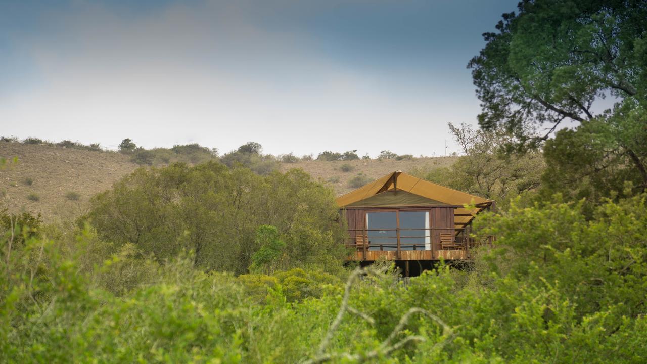 Addo Elephant Lodge & Safaris Kirkwood Luaran gambar