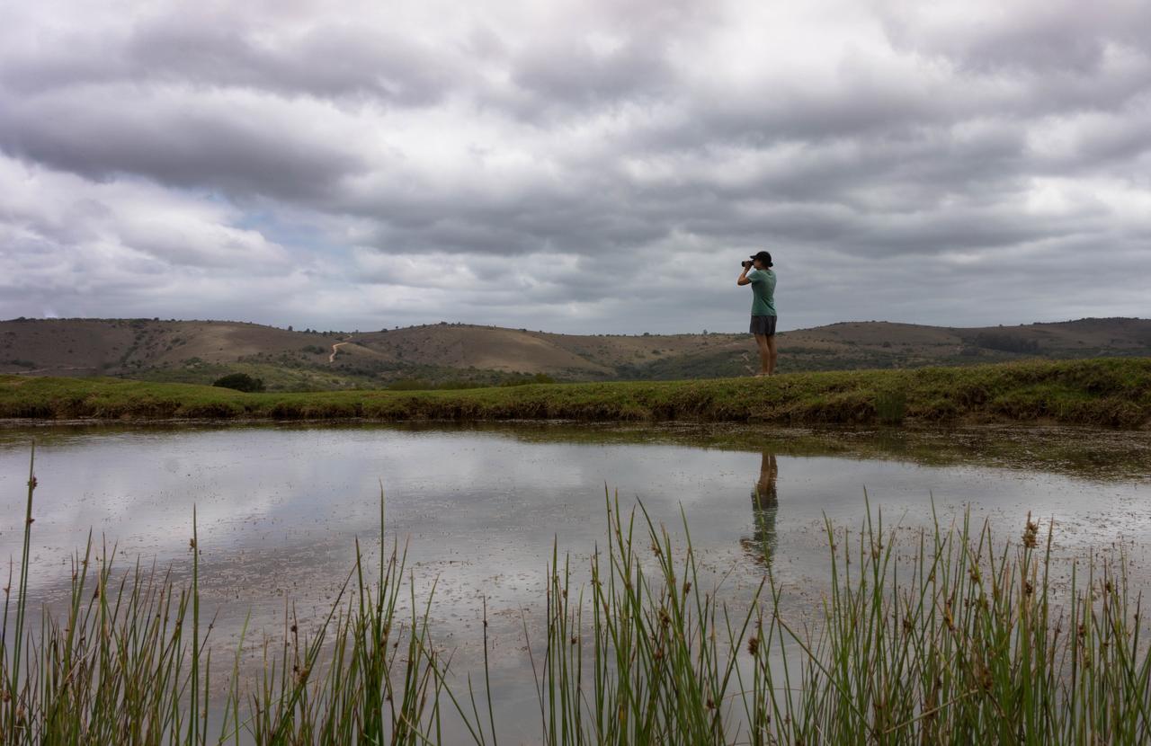 Addo Elephant Lodge & Safaris Kirkwood Luaran gambar