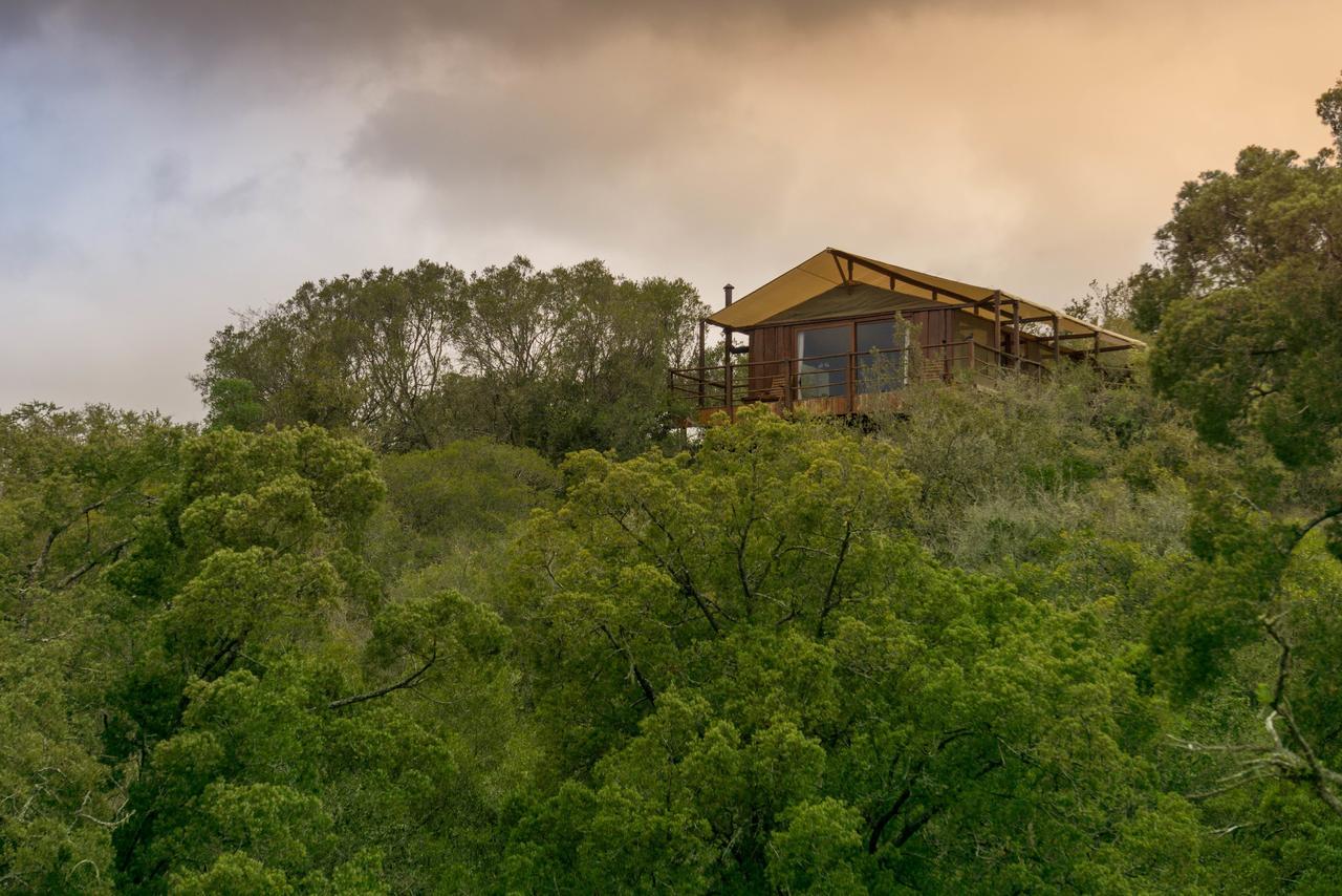 Addo Elephant Lodge & Safaris Kirkwood Luaran gambar