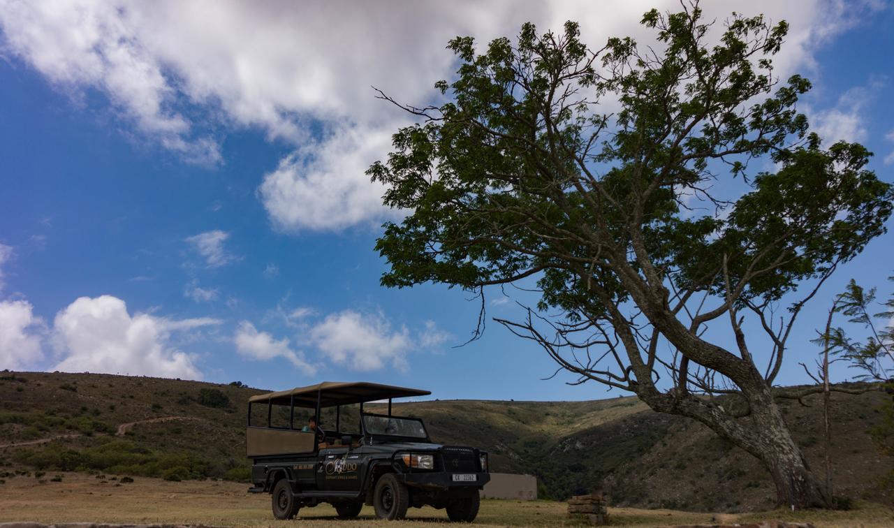 Addo Elephant Lodge & Safaris Kirkwood Luaran gambar