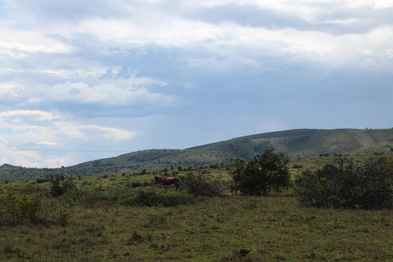 Addo Elephant Lodge & Safaris Kirkwood Luaran gambar