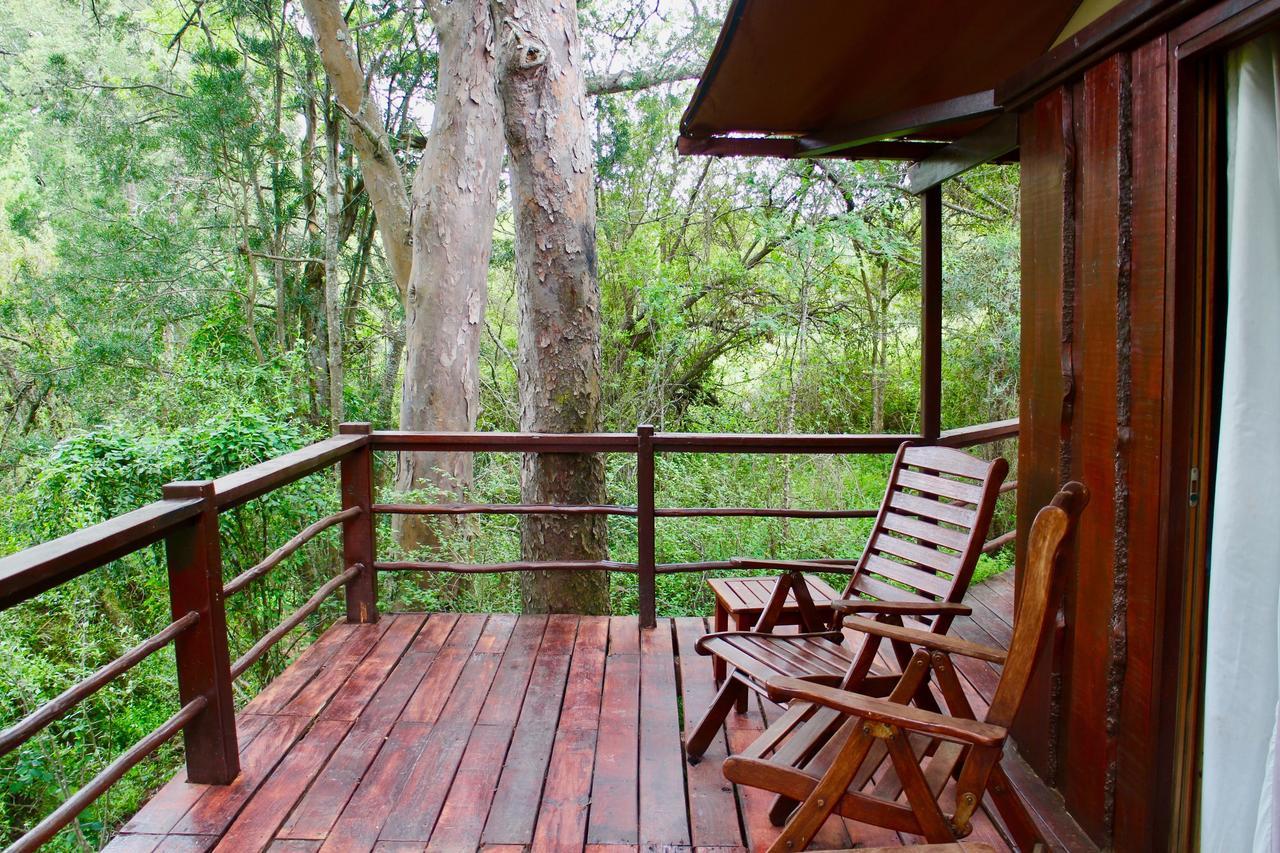 Addo Elephant Lodge & Safaris Kirkwood Luaran gambar